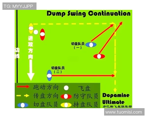 杭州飞盘队与南京飞盘队赛后分析力量对比与战术探讨